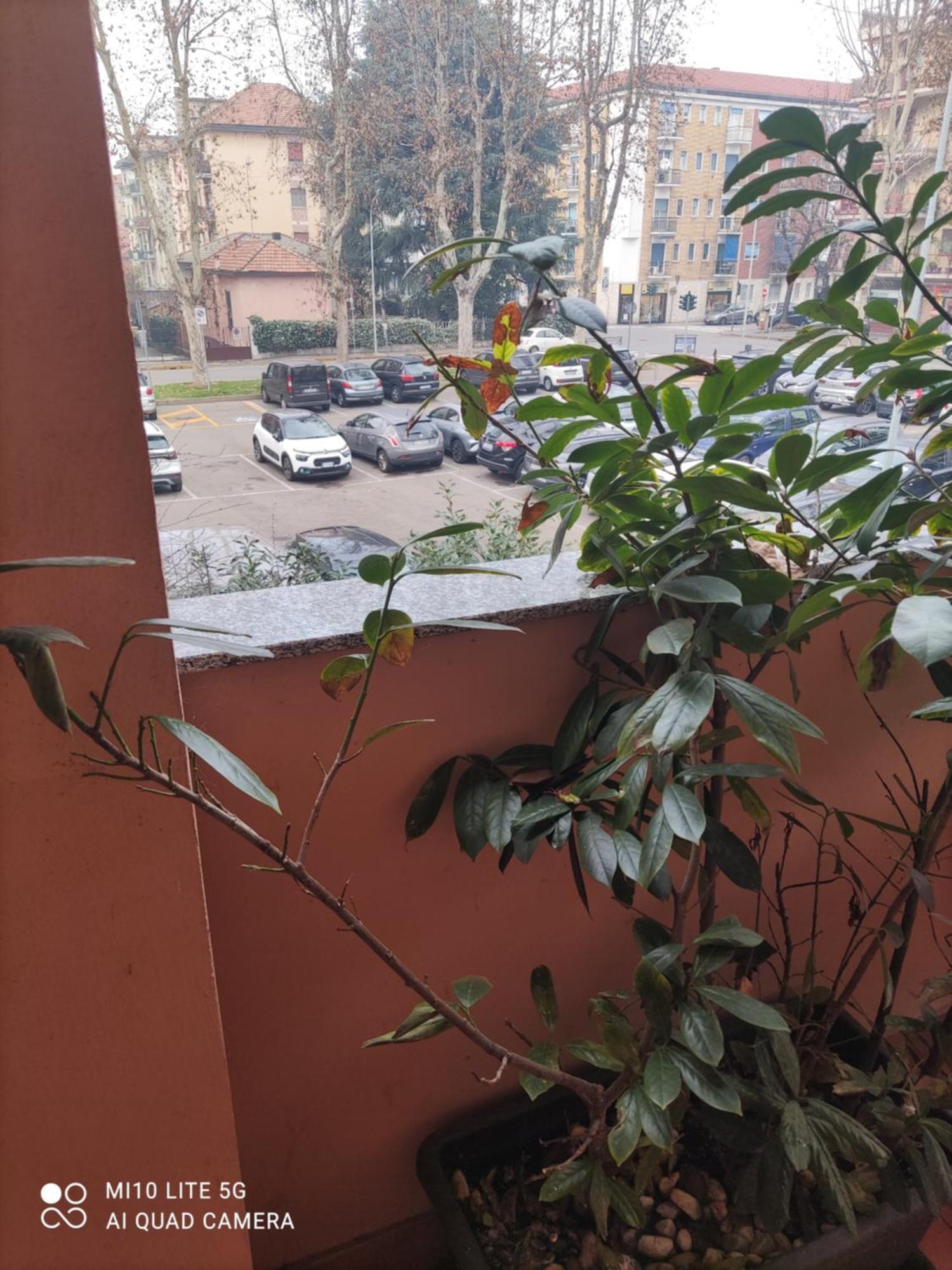 Hostal D'Annunzio House チェザーノ・ボスコーネ エクステリア 写真